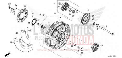 HINTERRAD (1) CRF1100AM de 2021